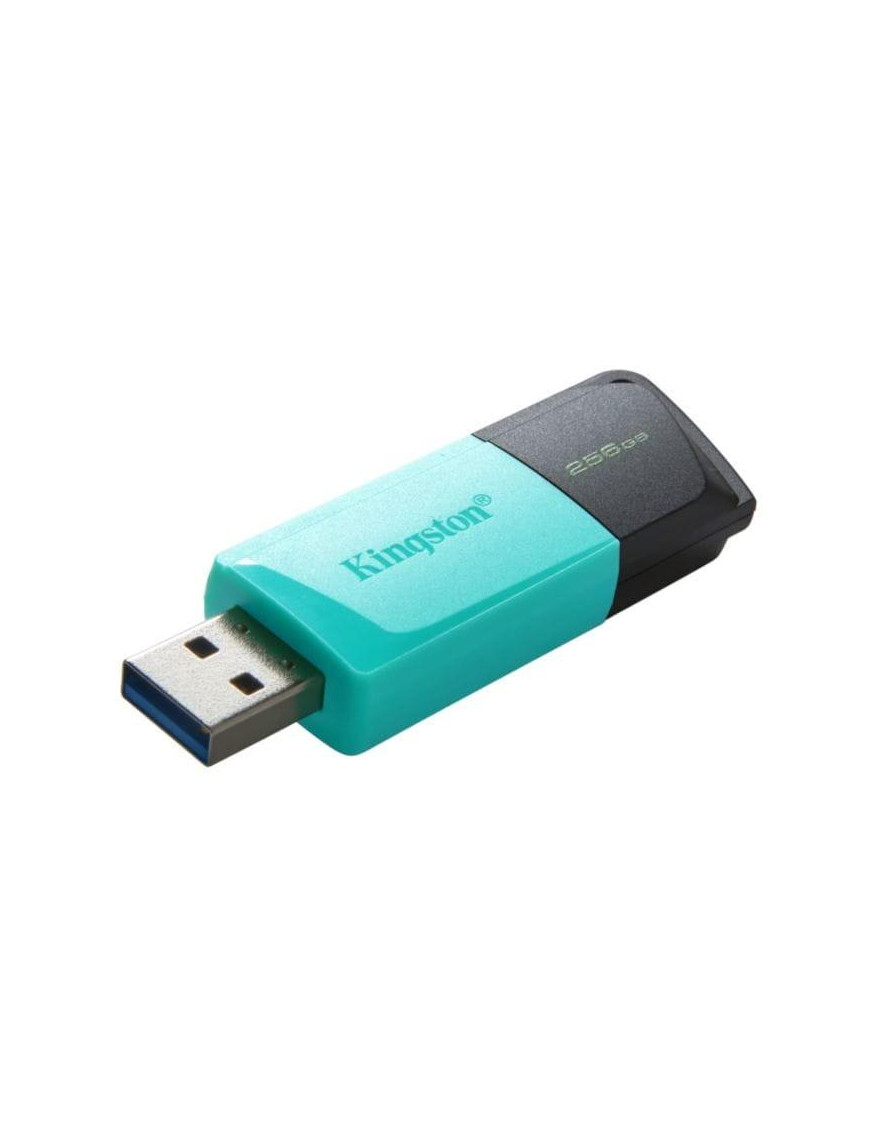 DTXM_256GB-kington_datatraveler_exodia_m_256gb_cover DTXM_256GB-kington_datatraveler_exodia_m_256gb_cover